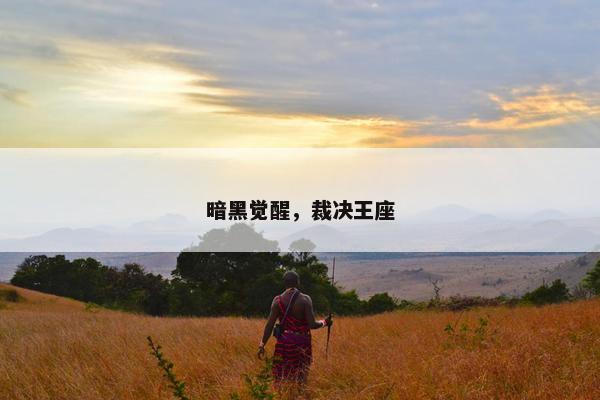 暗黑觉醒，裁决王座