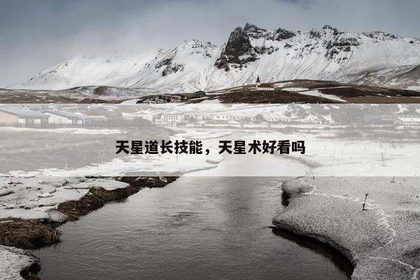 天星道长技能，天星术好看吗
