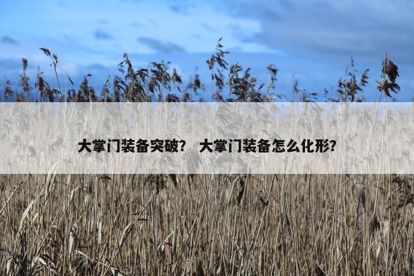 大掌门装备突破？ 大掌门装备怎么化形？