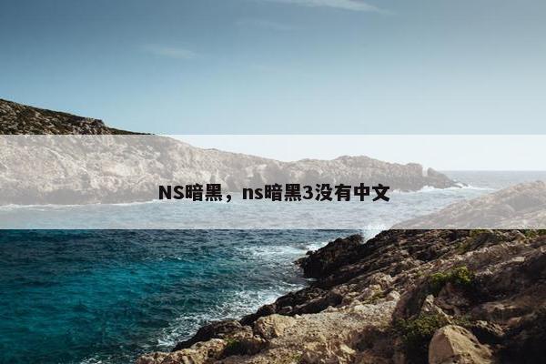 NS暗黑，ns暗黑3没有中文