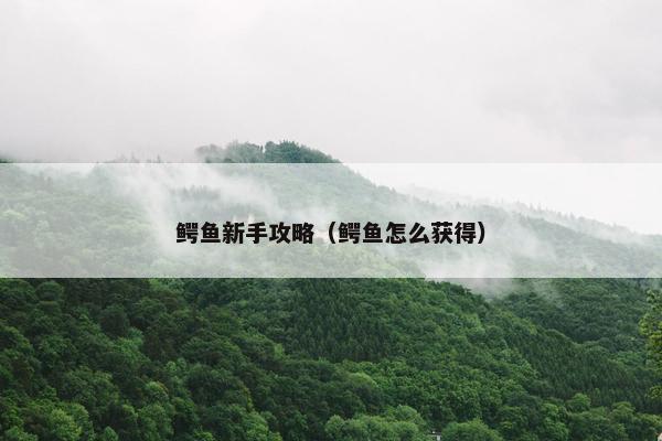 鳄鱼新手攻略（鳄鱼怎么获得）