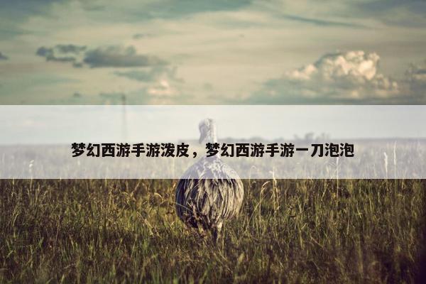 梦幻西游手游泼皮，梦幻西游手游一刀泡泡