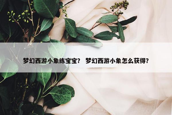 梦幻西游小象练宝宝？ 梦幻西游小象怎么获得？