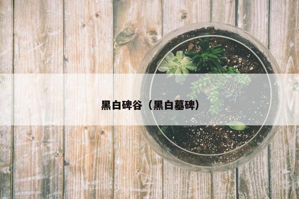 黑白碑谷（黑白墓碑）