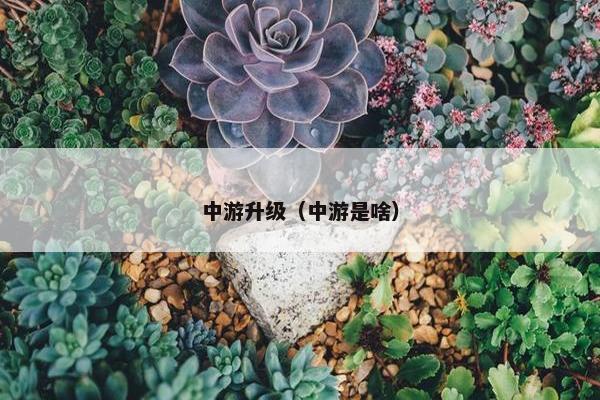 中游升级（中游是啥）