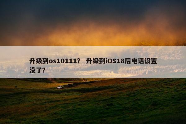 升级到os10111？ 升级到iOS18后电话设置没了？