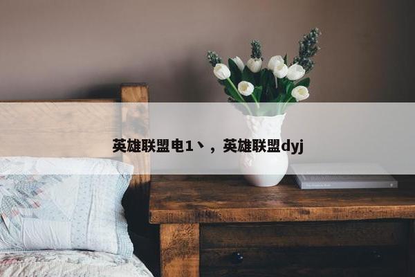英雄联盟电1丶，英雄联盟dyj