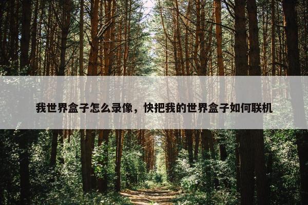 我世界盒子怎么录像，快把我的世界盒子如何联机