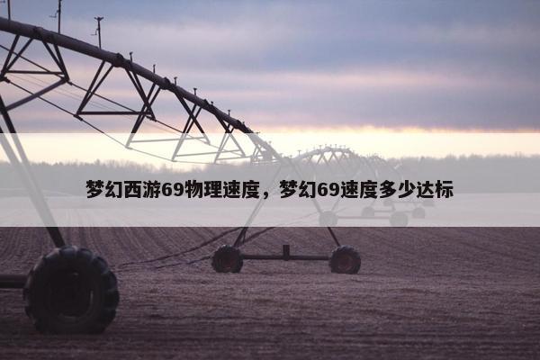 梦幻西游69物理速度，梦幻69速度多少达标