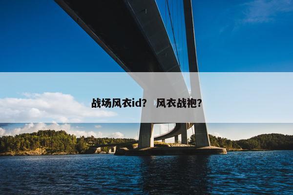 战场风衣id？ 风衣战袍？