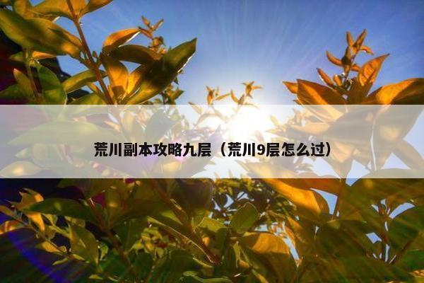 荒川副本攻略九层（荒川9层怎么过）