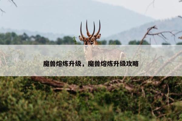魔兽熔炼升级，魔兽熔炼升级攻略