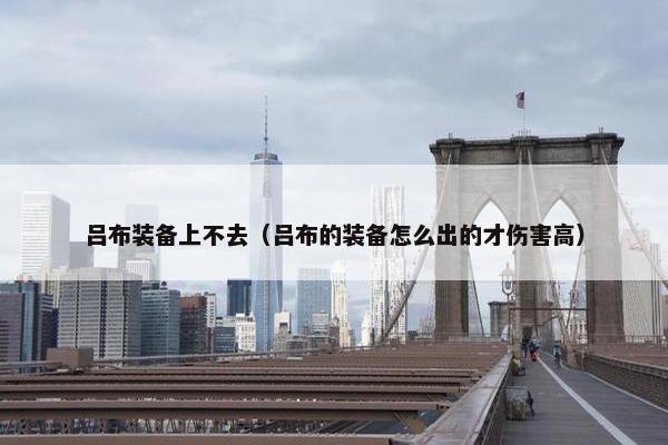 吕布装备上不去（吕布的装备怎么出的才伤害高）
