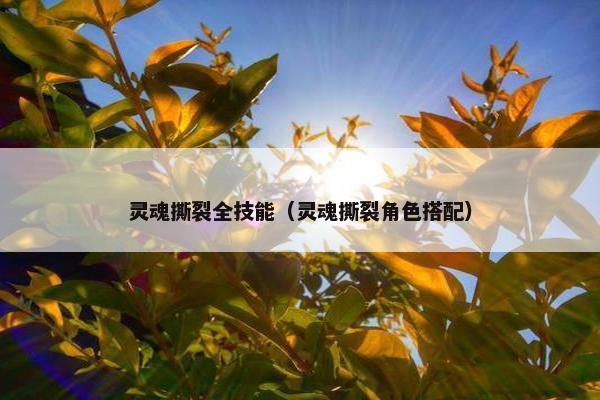 灵魂撕裂全技能（灵魂撕裂角色搭配）