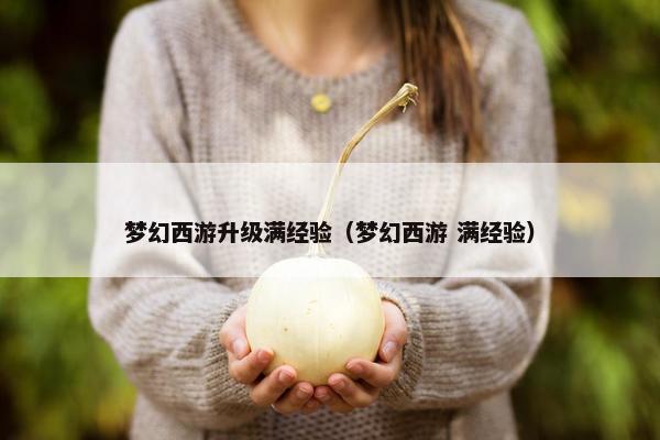 梦幻西游升级满经验（梦幻西游 满经验）
