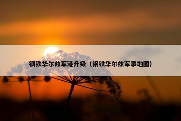 钢铁华尔兹军港升级（钢铁华尔兹军事地图）