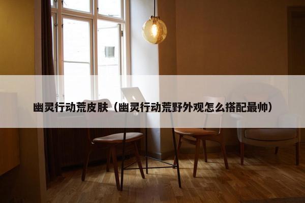 幽灵行动荒皮肤（幽灵行动荒野外观怎么搭配最帅）