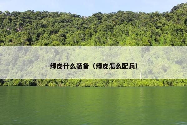 绿皮什么装备（绿皮怎么配兵）