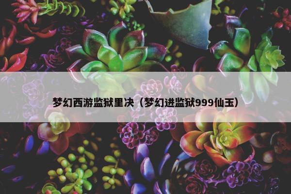 梦幻西游监狱里决（梦幻进监狱999仙玉）