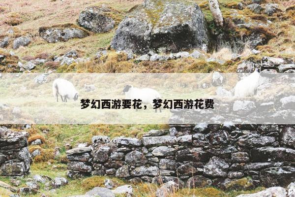 梦幻西游要花，梦幻西游花费