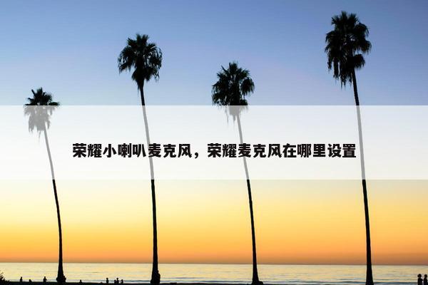 荣耀小喇叭麦克风，荣耀麦克风在哪里设置