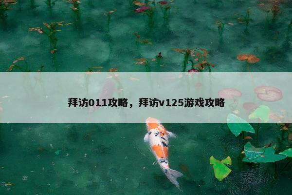 拜访011攻略，拜访v125游戏攻略