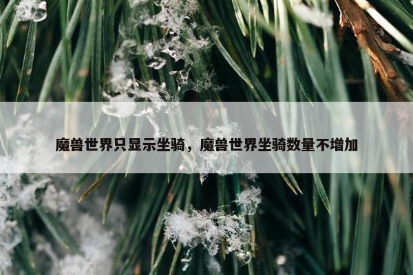 魔兽世界只显示坐骑，魔兽世界坐骑数量不增加