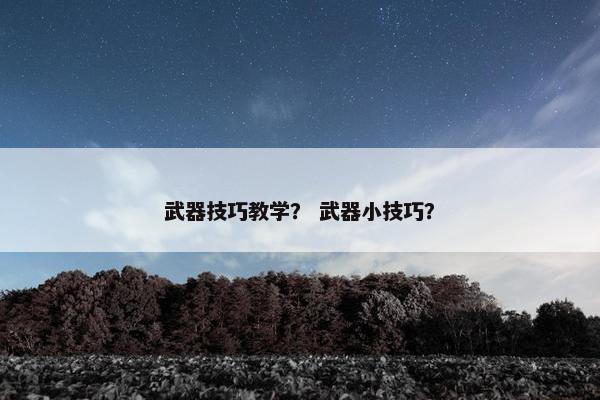 武器技巧教学？ 武器小技巧？