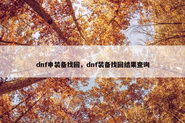 dnf申装备找回，dnf装备找回结果查询