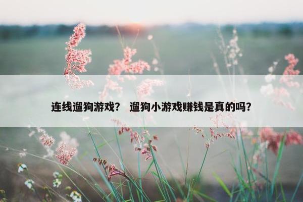 连线遛狗游戏？ 遛狗小游戏赚钱是真的吗？