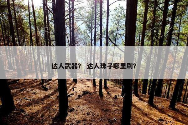 达人武器？ 达人珠子哪里刷？