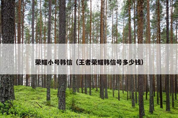 荣耀小号韩信（王者荣耀韩信号多少钱）