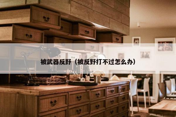 被武器反野（被反野打不过怎么办）