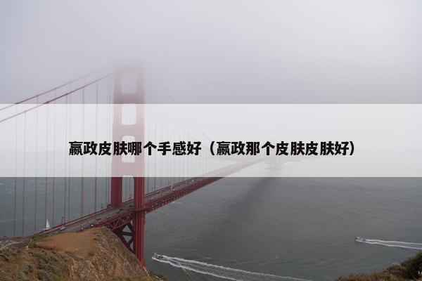 嬴政皮肤哪个手感好（嬴政那个皮肤皮肤好）