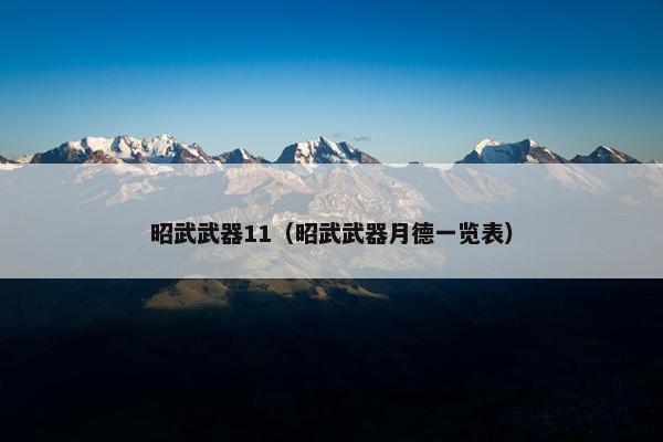 昭武武器11（昭武武器月德一览表）