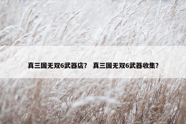 真三国无双6武器店？ 真三国无双6武器收集？