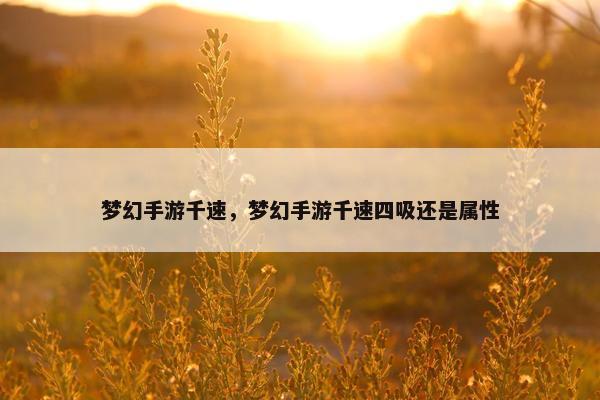 梦幻手游千速，梦幻手游千速四吸还是属性
