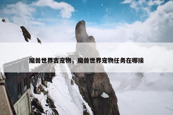 魔兽世界吉宠物，魔兽世界宠物任务在哪接