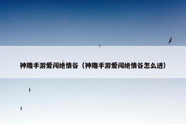 神雕手游爱闯绝情谷（神雕手游爱闯绝情谷怎么进）