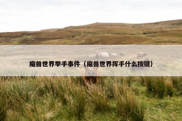 魔兽世界举手事件（魔兽世界挥手什么按键）