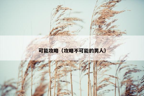 可能攻略（攻略不可能的男人）
