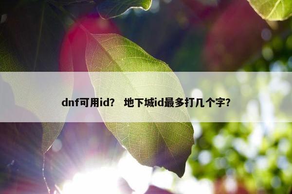 dnf可用id？ 地下城id最多打几个字？