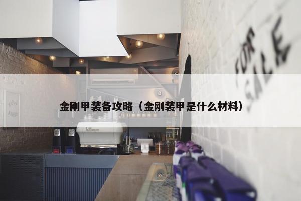 金刚甲装备攻略（金刚装甲是什么材料）
