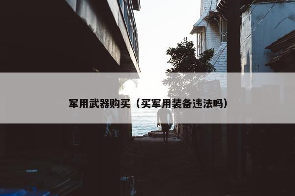 军用武器购买（买军用装备违法吗）