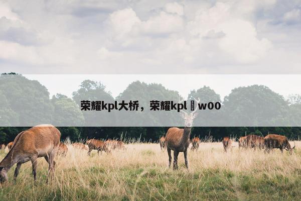 荣耀kpl大桥，荣耀kpl–w00