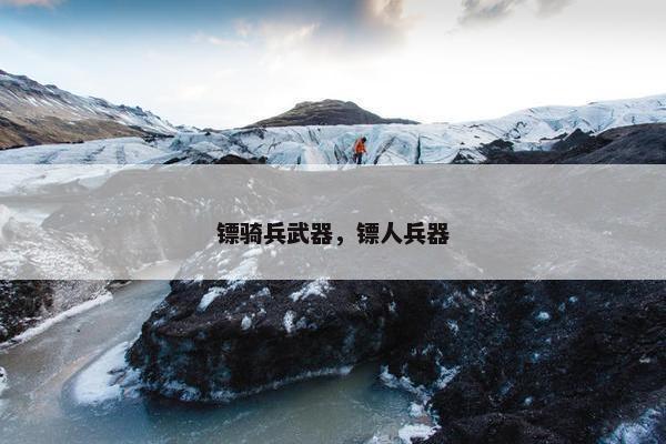 镖骑兵武器，镖人兵器