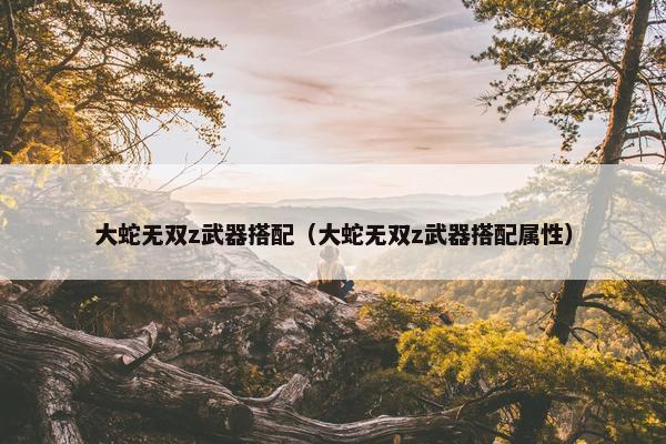大蛇无双z武器搭配（大蛇无双z武器搭配属性）