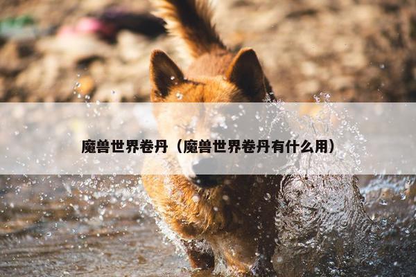 魔兽世界卷丹（魔兽世界卷丹有什么用）