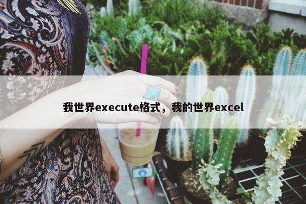 我世界execute格式，我的世界excel