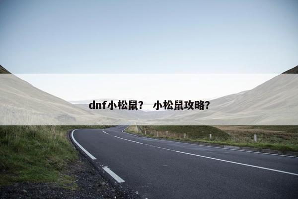 dnf小松鼠？ 小松鼠攻略？